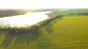 Breathtaking bird's eye view shooting over a rapeseed field and lake in the evening. Agricultural region of Ukraine, Europe. Cinematic top down drone shot. Filmed in UHD 4k video. Beauty of earth.