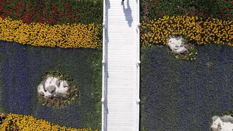 Tulip Season Emirgan Park Drone Video Sariyer Istanbul Turkey