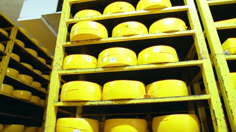 KYIV, UKRAINE - August 2021: High metal shelves with heads of hard cheese at the dairy factory. Storage for cheese ripening in the dairy enterprise. Big yellow heads of cheese close up.