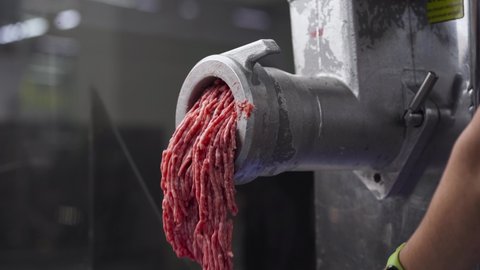 Industrial processing lard or beef meat in minced meat on a huge meat grinder at a meat factory close-up.