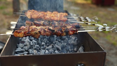 Man roasts a juicy kebab barbecue on the grill in the forest. Cook grills meat outdoors.