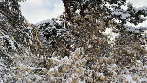 Fresh snow covers the rugged landscape near Boulder Colorado