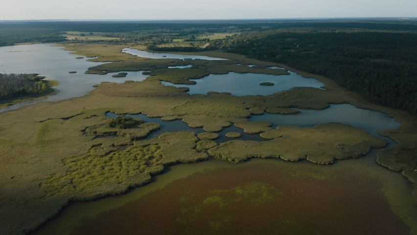 Aerial shot of wetlands and forests
