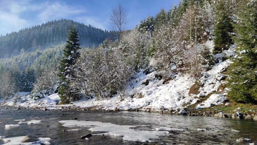 winter in mountains. spruces and trees covered with snow. river runs from mountains. spring, snow melt. natural sound