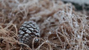 pine cone christmas concept. straw and christmas decorations. new year video concept