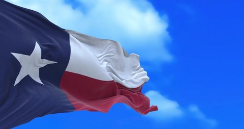 Amazing waving seamless loop of Texas flag.