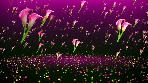 Abstract Sweet Rotating Motion View Red Pink Calla Lily Flowers And Glitter Sparkle Dust Flying On Twinkle Glitter Sparkles Floor Background, 3D Rendering Seamless Loop