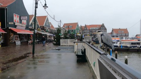 Volendam Holland Netherlands on December 12, 2021 heron on railing at promenade and houses next to the sea in the fishing village