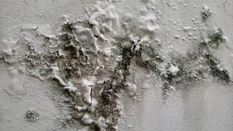 close up of wall texture with peeling paint 