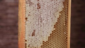 Camera movement along the frame with honey close-up. Healthy food concept. Eco natural feed from home apiary. 4k video. 