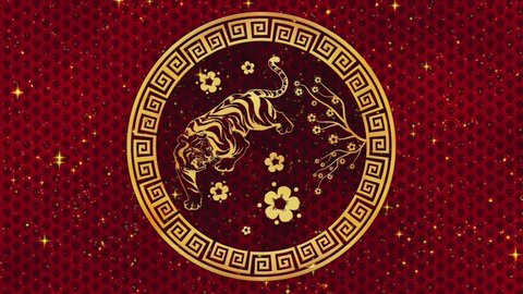 Happy Chinese New Year 2022, zodiac sign tiger on black background with gold stars. Chinese festivals. 4K video animation. Happy new year 2022, year of the tiger