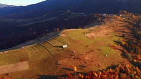 Splendid autumn scene of a rolling hills in morning light. Shooting from a quadcopter. Carpathian mountains, Ukraine, Europe. Cinematic aerial shot. Beauty of earth. Filmed in 4k, drone video.