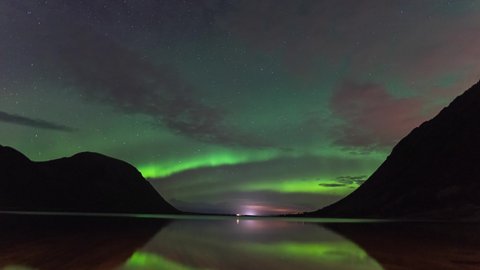 Aurora Borealis timelapse in Norway. Northern lights curtains in a forest
