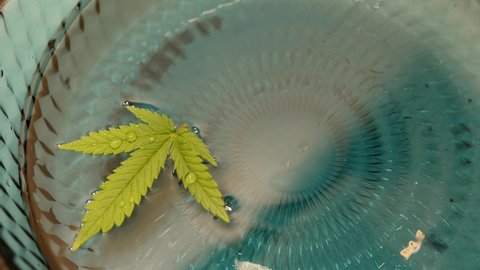 Cannabis leaf floating on water surface. CBD oil concept. 4k video