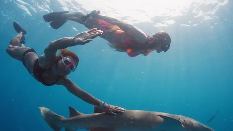 Swim with shark, speed warp. Two young women in bikini swim with the shark in the tropical sea. Clip has the warp of speed