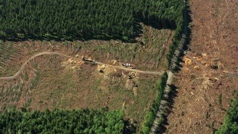 deforestation amazon rainforest forest global warming video 4k