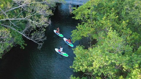 Three young people paddleboarding Ft Lauderdale Florida canals