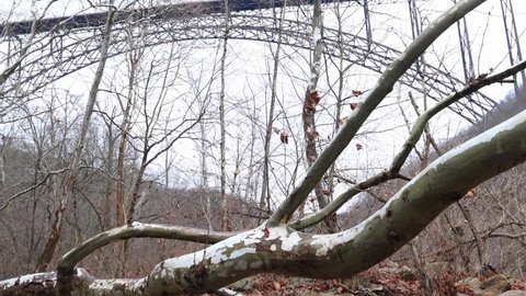 4K Dolly tree and New River Bridge