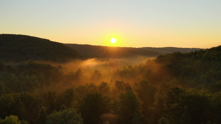 Vibrant foggy morning over dark forest trees at bright summer sunrise. Amazingl scenery of wild woodland at dawn Royalty-Free Stock Footage #1084382515