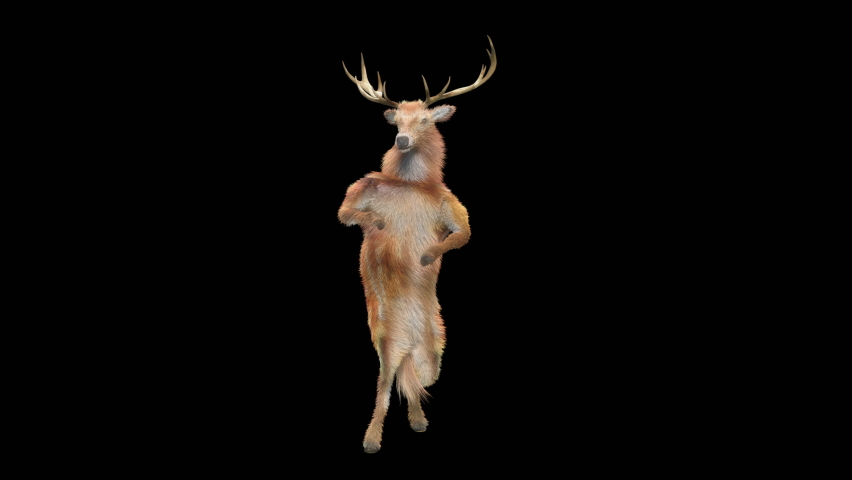 Deer dance system. Deer dance system. Deer dance system. Мем с танцующими оленями. Deer dance system.