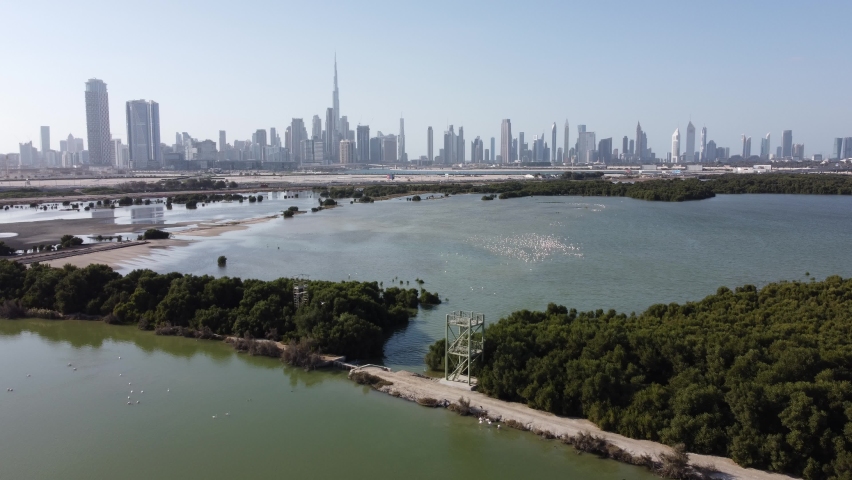 Aerial View of Ras Al Khor Wildlife Sanctuary featuring Pink Flamingos and Nature in Dubai Creek Royalty-Free Stock Footage #1084402384