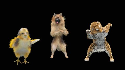 Dog and Leopard, Chick Dancing, 3d rendering, Animation Loop, cartoon. included in the end of the clip with Alpha matte.