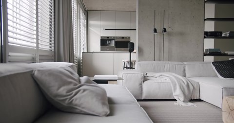 Real apartment with living and kitchen room. minimalist design with concrete