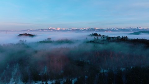 Thin Clouds Over Treetops In Winter Forest At Sunset With Alps Backdrop Near Lutry, Canton Of Vaud, Switzerland. Aerial Drone