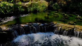 Video of the view of the water flowing in the fish pond forming a mini waterfall
