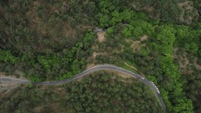 
Cars moving through the forest shot at a 90 degree angle from the air