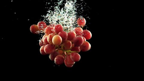 A sprig of ripe grapes falls under the water with air bubbles. On a black background. Filmed is slow motion 1000 frames per second. 