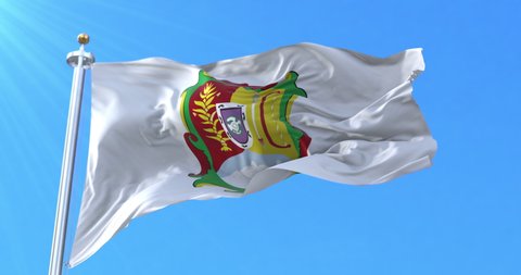 Flag of Nayarit, Mexico. Loop