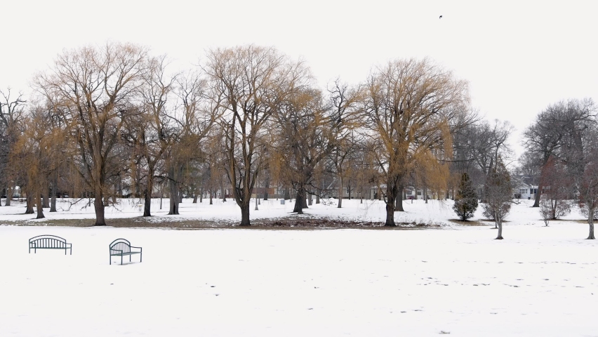Two lonely park benches in snow covered city park in Kenosha, Wisconsin.  Dry leaves of yellow and orange still on the tree branches. Tracks through the snow. Residential neighborhood nearby. 