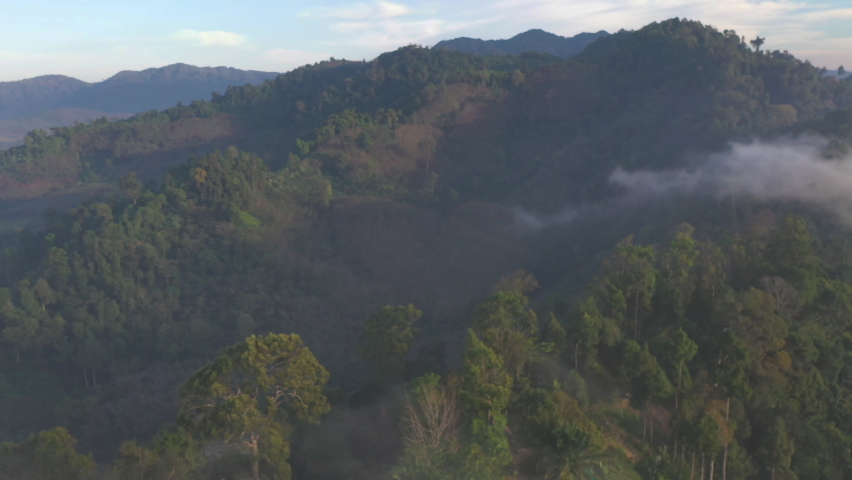 slow floating fog blowing cover on the top of mountain look like as a sea of mist. 
In the morning the cold weather is make floating fog on the mountain as a sea of mist 
white cloud in blue sky over 