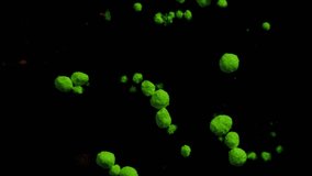 Green volumetric fluorescent particles move and change on a black moving background, transition.