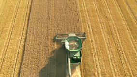 Drone flies over industrial combine harvesters in agricultural field harvesting wheat. Ukrainian agrarian region. Season of gathering crops. Cinematic shot. Filmed in UHD 4k video. Beauty of earth.