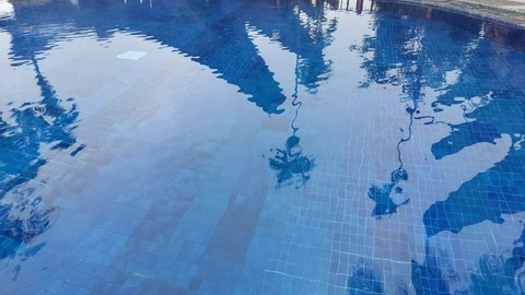 the water in the pool is blue, the shadow of the trees and the houses around the pool. Pool with clear water