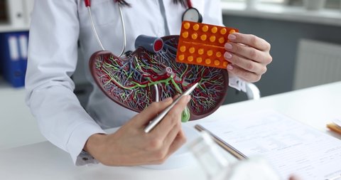 Doctor holds pills and shows mock up of human liver