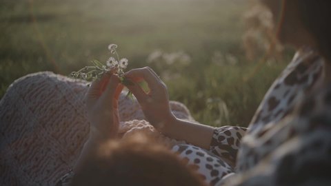 Woman is holding Chamomile flowers on the field. Sunny summer footage. Nature harmony and beauty concept. Soft focused, slow motion.