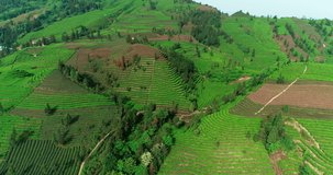 aerial view 4k footage of a green tea farm in Sichuan, China Aerial video of tea terraces plantation in the mountain landscape