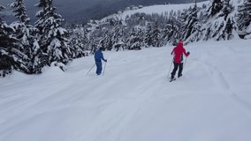 Funny freeride between trees. Lol skiers. White powder in snowy winter mountains. Aerial video from the drone.  Ski slope in the coniferous and deciduous forest.