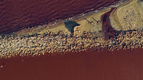 Top view sandy beach with pink sea waves splashing sand beach. Red sea coastline sand beach. Drone shot salt lake mineral water surface. Drone view tranquil seacoast. Birds flying over dark pink sea