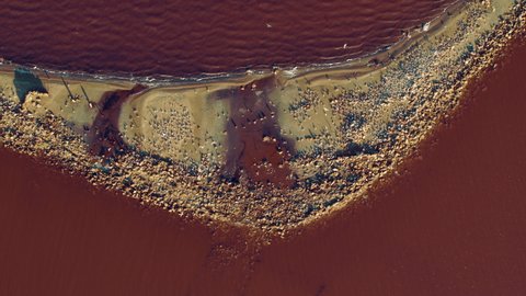Drone view salt island in pink water surface. Top view salt coastline with small birds. Birds flying around sandy beach at red lake. Unusual seashore with pink waves splashing sand. Mineral surface