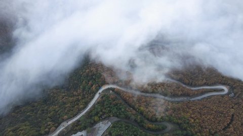Foggy Forest Autumn Season Drone Video Yenice Forest Karabuk Turkey