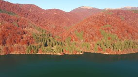 Impressive lake from a bird's eye view. Shooting from a quadcopter. Tereblia reservoir, Carpathian Mountains, Ukraine. Cinematic aerial shot. Discover the beauty of earth. Filmed in 4k, drone video.
