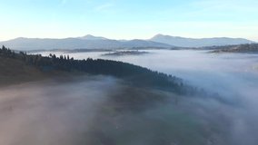 Tranquil rural landscape is covered with thick fog from a bird's eye view. Location place Carpathian mountains, Ukraine, Europe. Cinematic aerial drone shot. Filmed in UHD 4k video. Beauty of earth.
