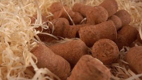 Champagne wine corks fall on the straw. Slow motion. - Powered by Shutterstock - Get 15% off with code: PIKWIZARD15