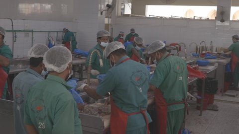 Ajman, UAE, United Arab Emirates - May 26, 2021: Men clean fish at fish market in Ajman. Hand-held shot