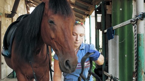 horse care. Horsewoman harnesses bay horse, prepares palfrey for horseback riding. Equitation. jockeyship. equestrianism. Equestrian sport. Horse riding.
