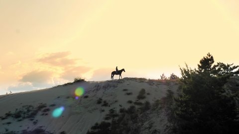 Horse riding. Equitation. Silhouette of horsewoman is riding a horse on sandy hill, towering over pine forest, at sunset, in warm summer sun rays. sunset sky background